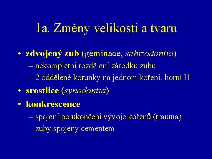 1 a. Změny velikosti a tvaru • zdvojený zub (geminace, schizodontia) – nekompletní rozdělení