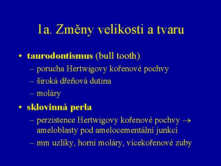 1 a. Změny velikosti a tvaru • taurodontismus (bull tooth) – porucha Hertwigovy kořenové