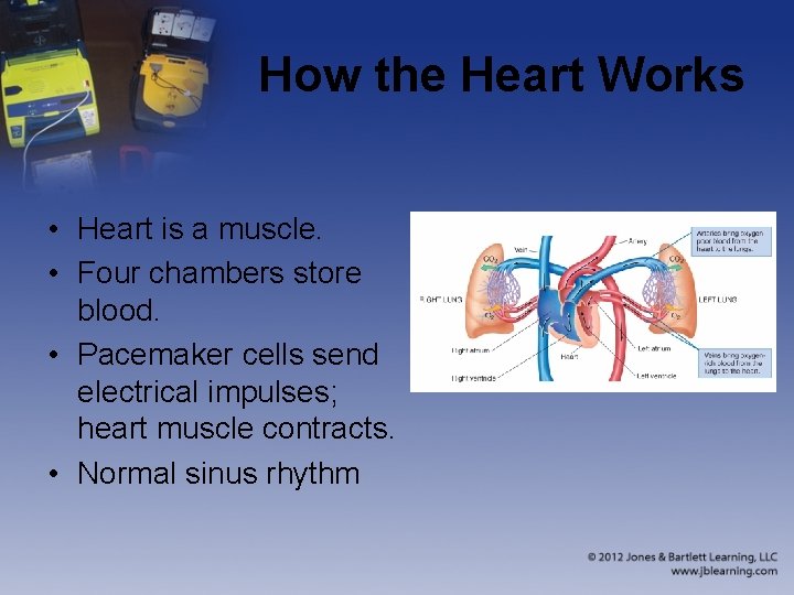 How the Heart Works • Heart is a muscle. • Four chambers store blood.