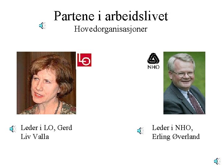Partene i arbeidslivet Hovedorganisasjoner Leder i LO, Gerd Liv Valla Leder i NHO, Erling