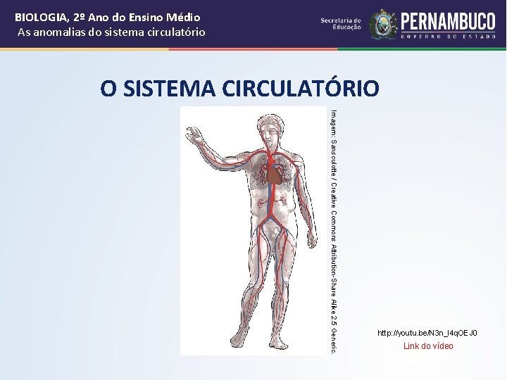BIOLOGIA, 2º Ano do Ensino Médio As anomalias do sistema circulatório O SISTEMA CIRCULATÓRIO