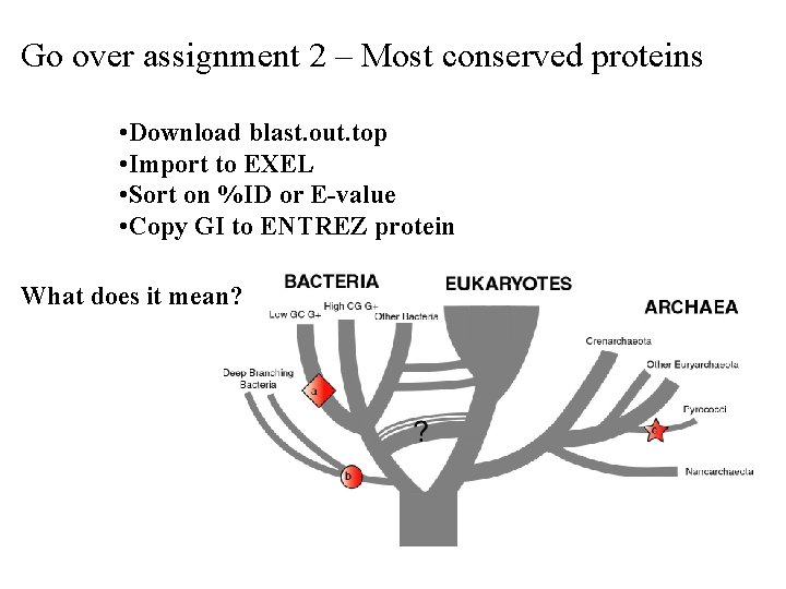Go over assignment 2 – Most conserved proteins • Download blast. out. top •