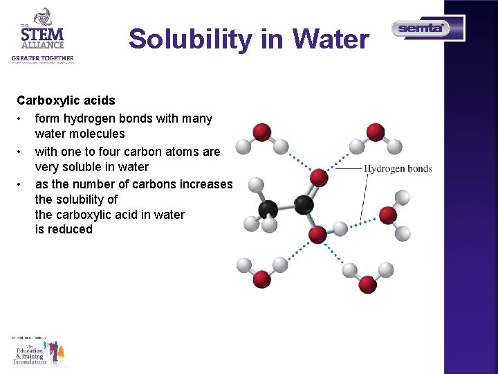 Solubility in Water Carboxylic acids • form hydrogen bonds with many water molecules •