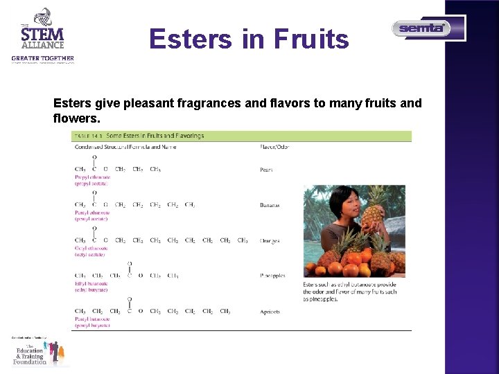 Esters in Fruits Esters give pleasant fragrances and flavors to many fruits and flowers.