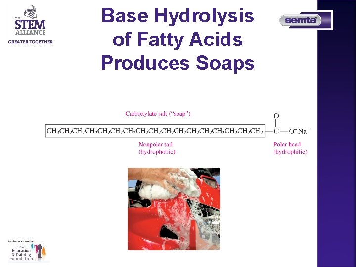Base Hydrolysis of Fatty Acids Produces Soaps 