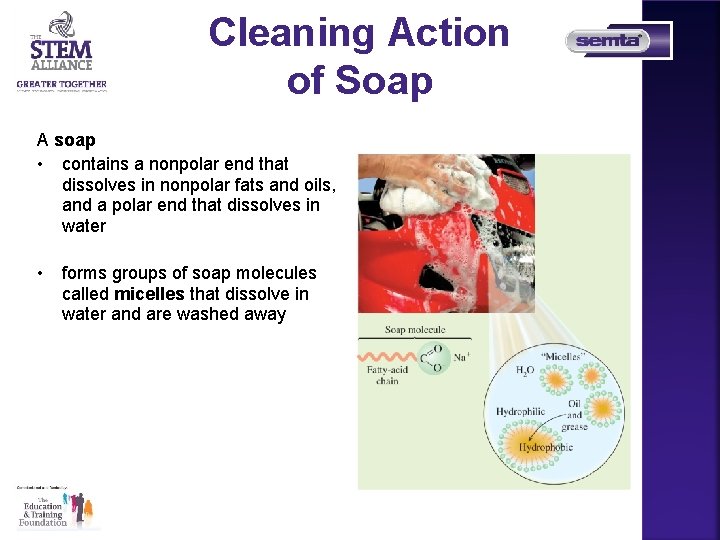Cleaning Action of Soap A soap • contains a nonpolar end that dissolves in