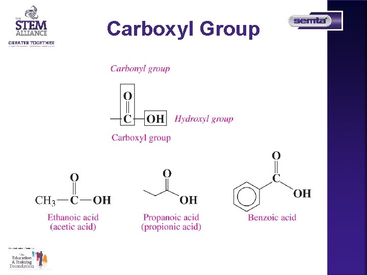 Carboxyl Group 