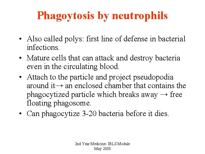 Phagoytosis by neutrophils • Also called polys: first line of defense in bacterial infections.