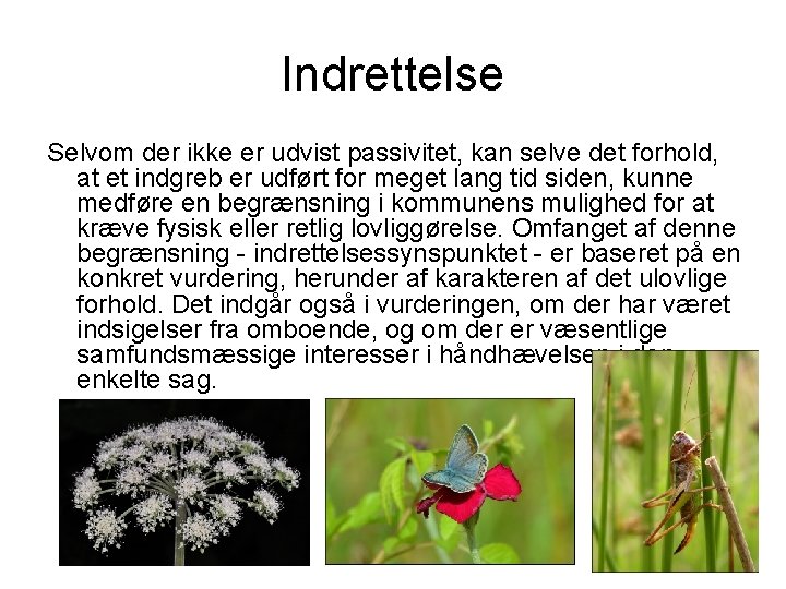 Indrettelse Selvom der ikke er udvist passivitet, kan selve det forhold, at et indgreb