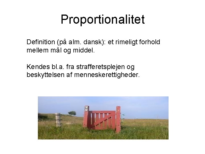 Proportionalitet Definition (på alm. dansk): et rimeligt forhold mellem mål og middel. Kendes bl.