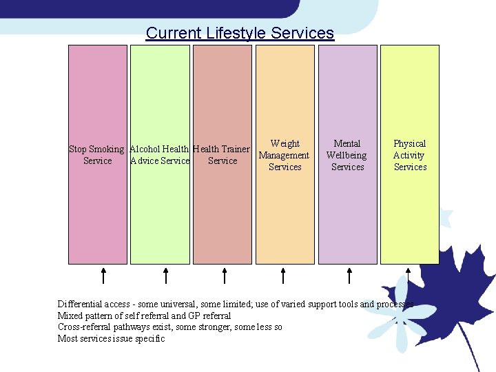 Current Lifestyle Services Weight Stop Smoking Alcohol Health Trainer Management Service Advice Services Mental