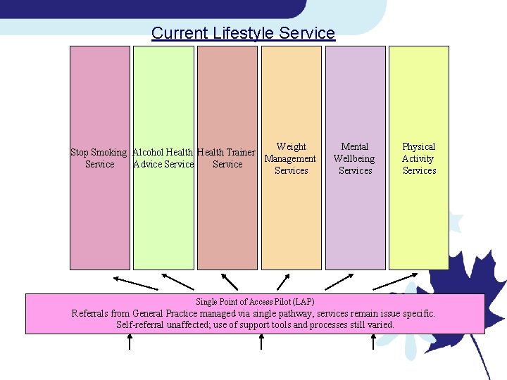 Current Lifestyle Service Weight Stop Smoking Alcohol Health Trainer Management Service Advice Services Mental