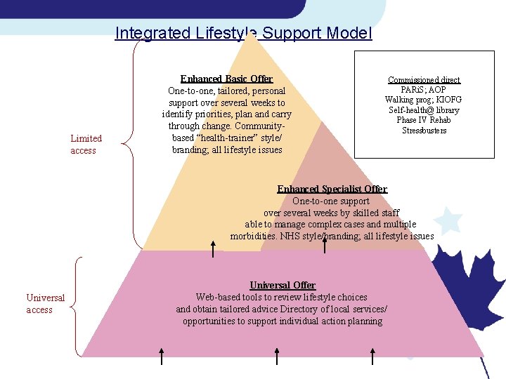 Integrated Lifestyle Support Model Limited access Enhanced Basic Offer One-to-one, tailored, personal support over