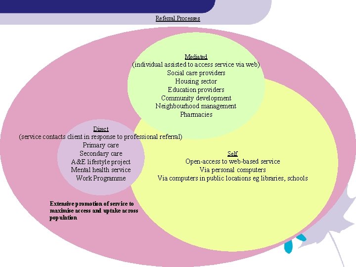 Referral Processes Mediated (individual assisted to access service via web) Social care providers Housing