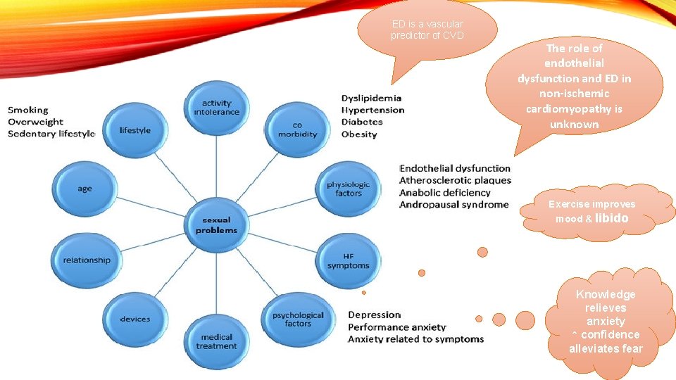 ED is a vascular predictor of CVD The role of endothelial dysfunction and ED