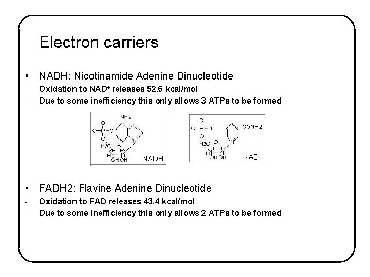 Electron carriers • NADH: Nicotinamide Adenine Dinucleotide - Oxidation to NAD+ releases 52. 6