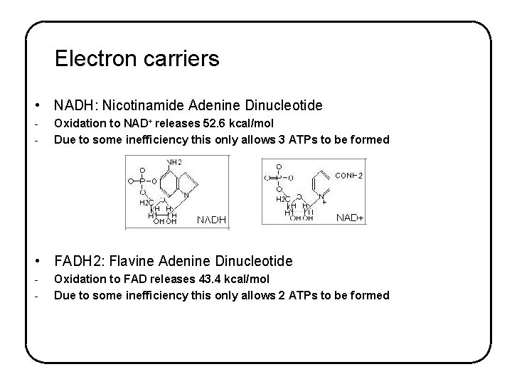Electron carriers • NADH: Nicotinamide Adenine Dinucleotide - Oxidation to NAD+ releases 52. 6