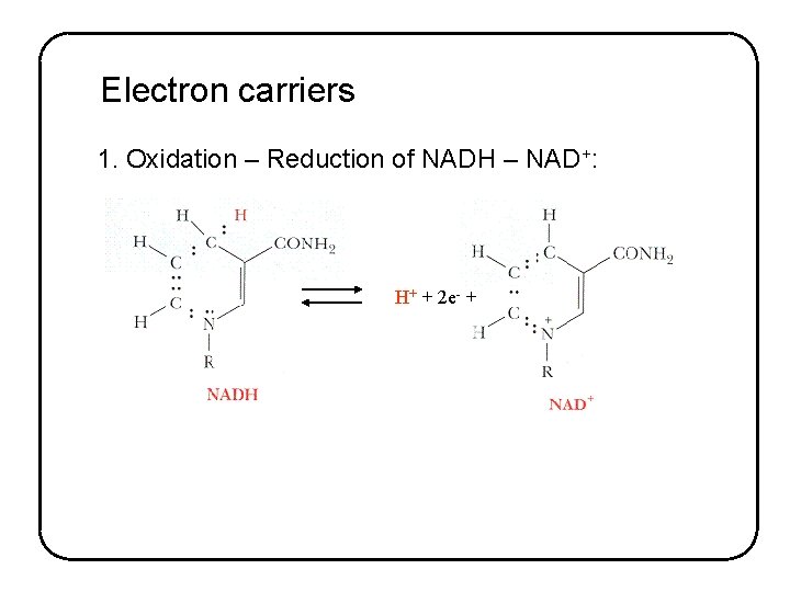 Electron carriers 1. Oxidation – Reduction of NADH – NAD+: H+ + 2 e-