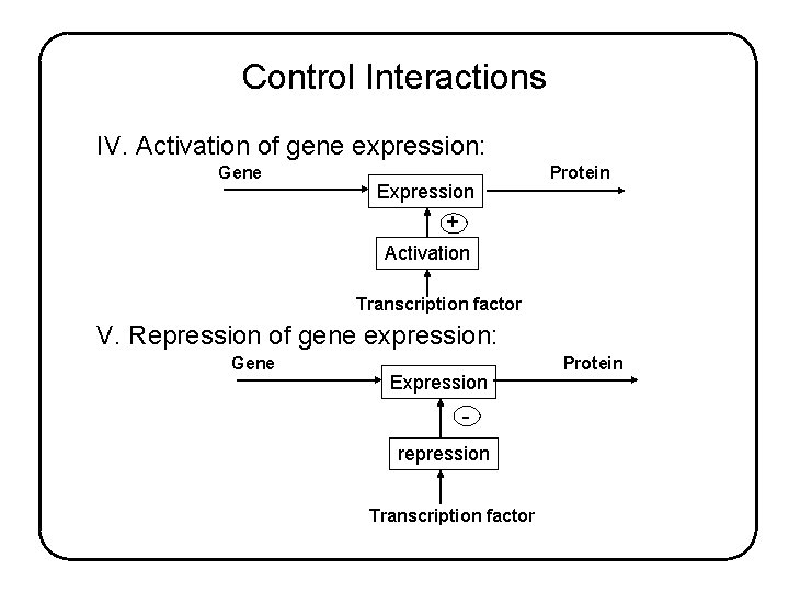 Control Interactions IV. Activation of gene expression: Gene Expression Protein + Activation Transcription factor