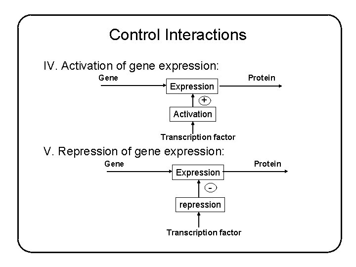 Control Interactions IV. Activation of gene expression: Gene Expression Protein + Activation Transcription factor