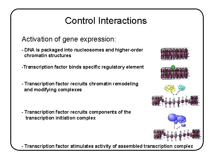 Control Interactions Activation of gene expression: - DNA is packaged into nucleosomes and higher-order