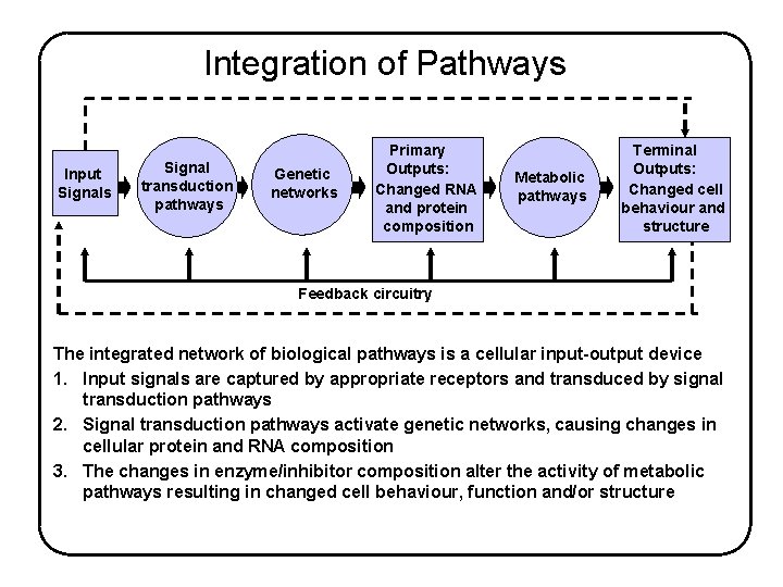 Integration of Pathways Input Signals Signal transduction pathways Genetic networks Primary Outputs: Changed RNA