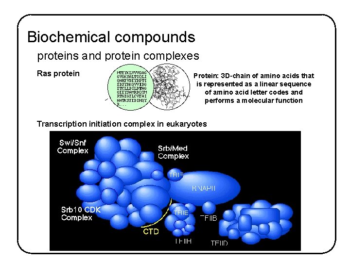Biochemical compounds proteins and protein complexes Ras protein Protein: 3 D-chain of amino acids