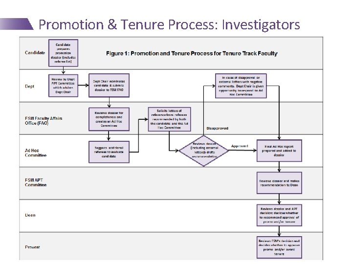 Promotion & Tenure Process: Investigators 