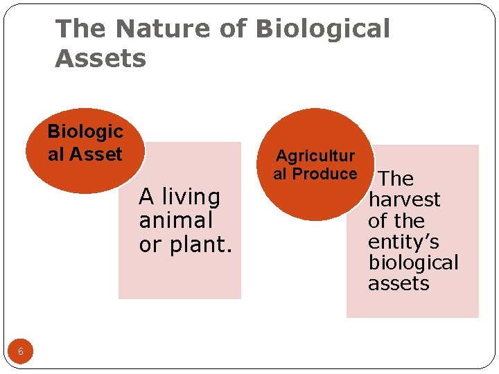 The Nature of Biological Assets Biologic al Asset A living animal or plant. 6