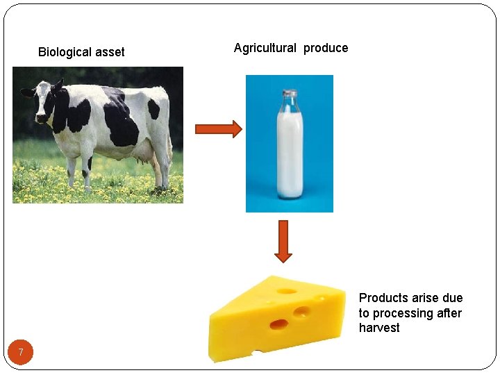 Biological asset Agricultural produce Products arise due to processing after harvest 7 