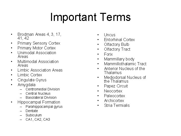 Important Terms • • • Brodman Areas 4, 3, 17, 41, 42 Primary Sensory