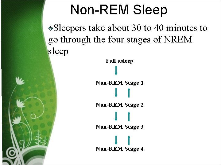 Non-REM Sleepers take about 30 to 40 minutes to go through the four stages
