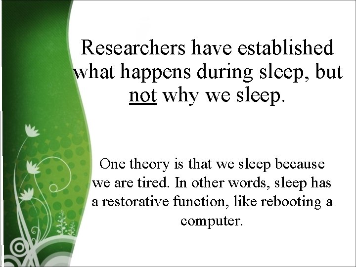 Researchers have established what happens during sleep, but not why we sleep. One theory