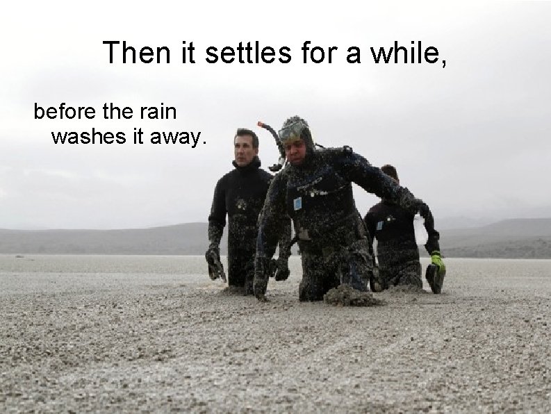 Then it settles for a while, before the rain washes it away. 