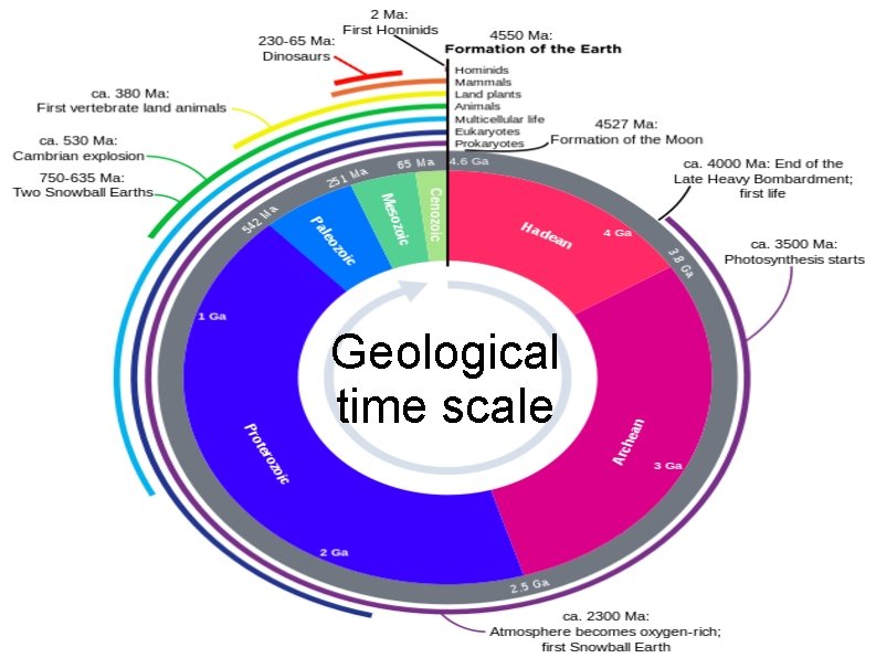 Geological time scale 