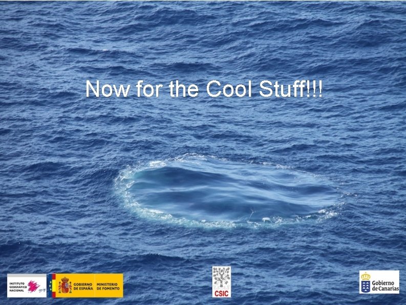 Now for the Cool Stuff!!! 