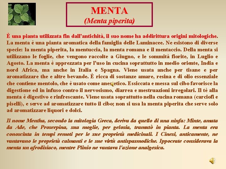 MENTA (Menta piperita) È una pianta utilizzata fin dall'antichità, il suo nome ha addirittura