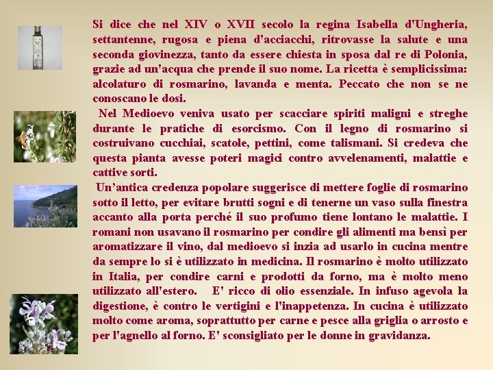 Si dice che nel XIV o XVII secolo la regina Isabella d'Ungheria, settantenne, rugosa