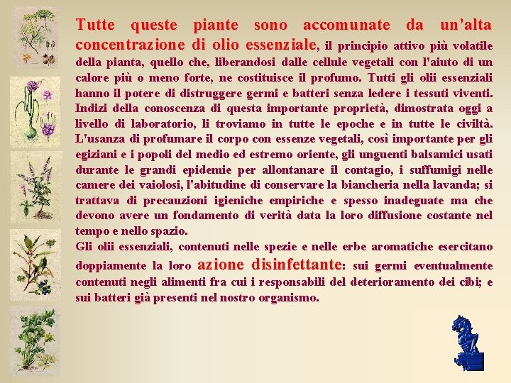 Tutte queste piante sono accomunate da un’alta concentrazione di olio essenziale, il principio attivo Tutte queste piante sono accomunate da un’alta concentrazione di olio essenziale, il principio attivo