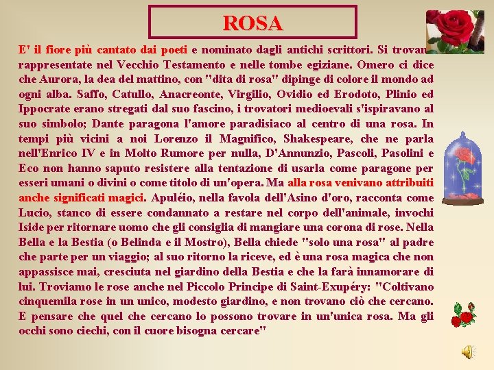 ROSA E' il fiore più cantato dai poeti e nominato dagli antichi scrittori. Si