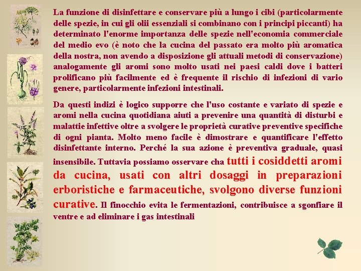 La funzione di disinfettare e conservare più a lungo i cibi (particolarmente delle spezie, La funzione di disinfettare e conservare più a lungo i cibi (particolarmente delle spezie,