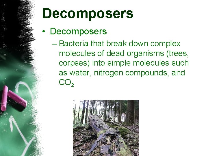 Decomposers • Decomposers – Bacteria that break down complex molecules of dead organisms (trees,
