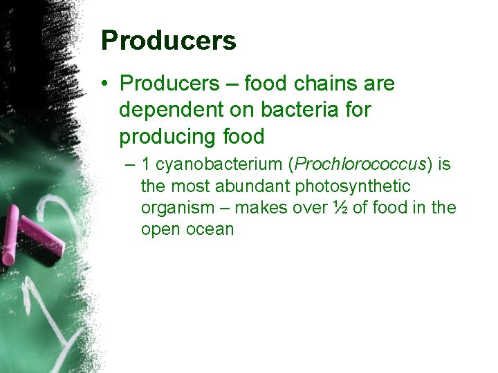 Producers • Producers – food chains are dependent on bacteria for producing food –