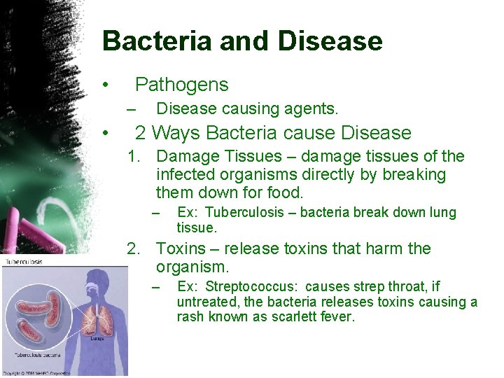 Bacteria and Disease • Pathogens – • Disease causing agents. 2 Ways Bacteria cause