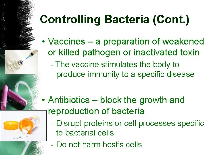 Controlling Bacteria (Cont. ) • Vaccines – a preparation of weakened or killed pathogen