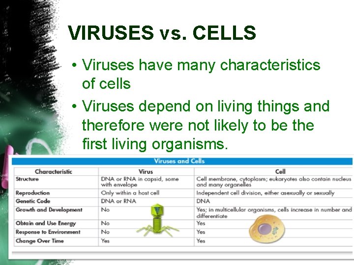 VIRUSES vs. CELLS • Viruses have many characteristics of cells • Viruses depend on