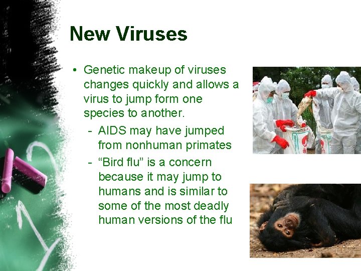 New Viruses • Genetic makeup of viruses changes quickly and allows a virus to