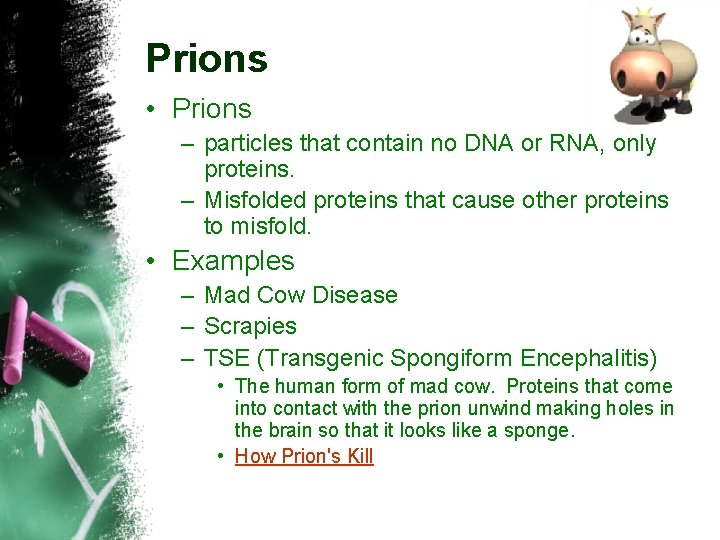 Prions • Prions – particles that contain no DNA or RNA, only proteins. –