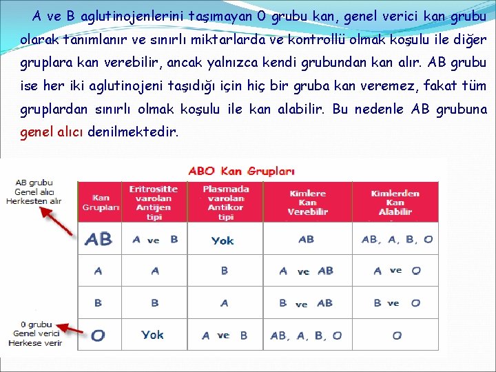 A ve B aglutinojenlerini taşımayan 0 grubu kan, genel verici kan grubu olarak tanımlanır