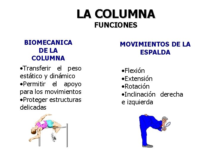 LA COLUMNA FUNCIONES BIOMECANICA DE LA COLUMNA • Transferir el peso estático y dinámico